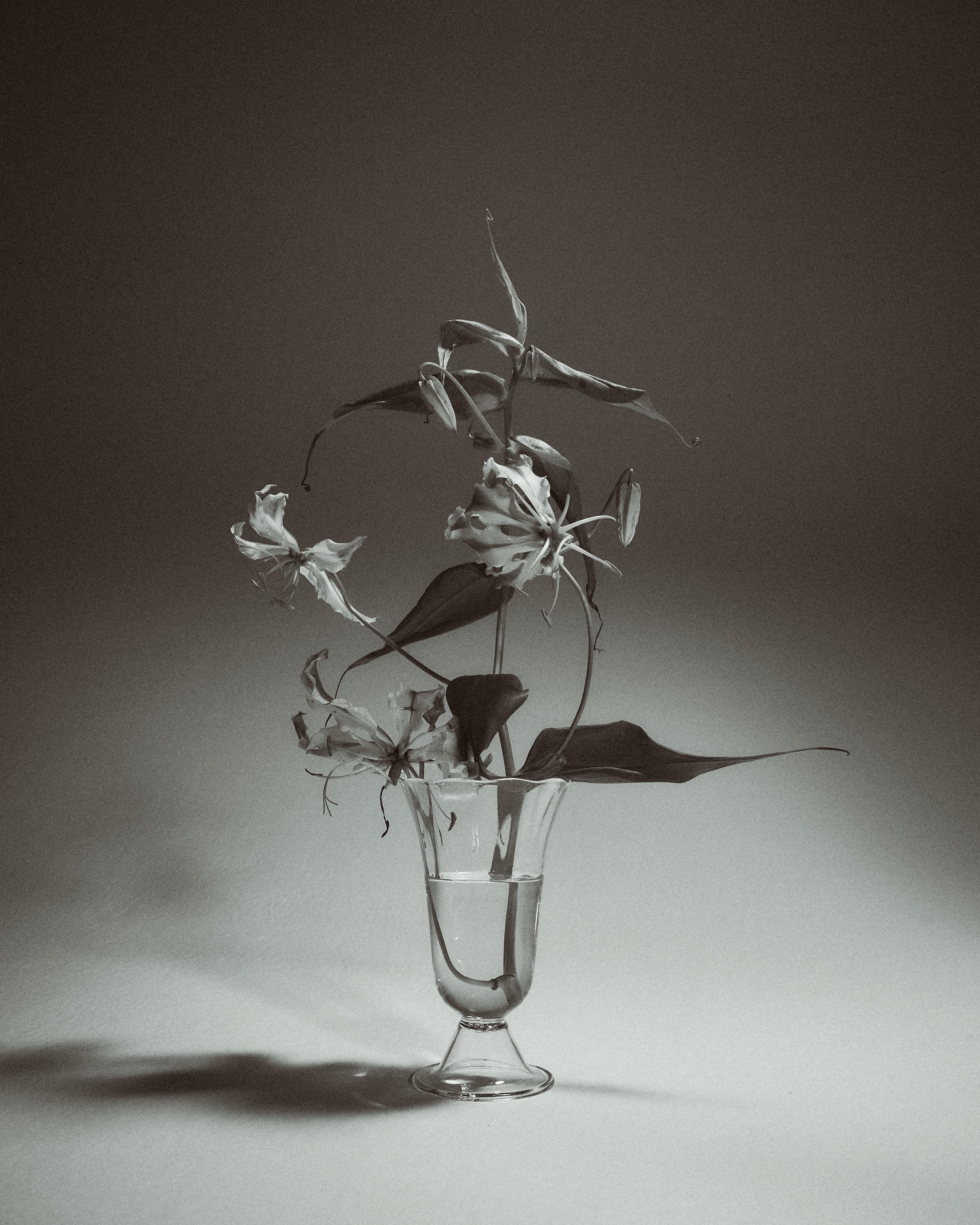 Alban Vase Tulip