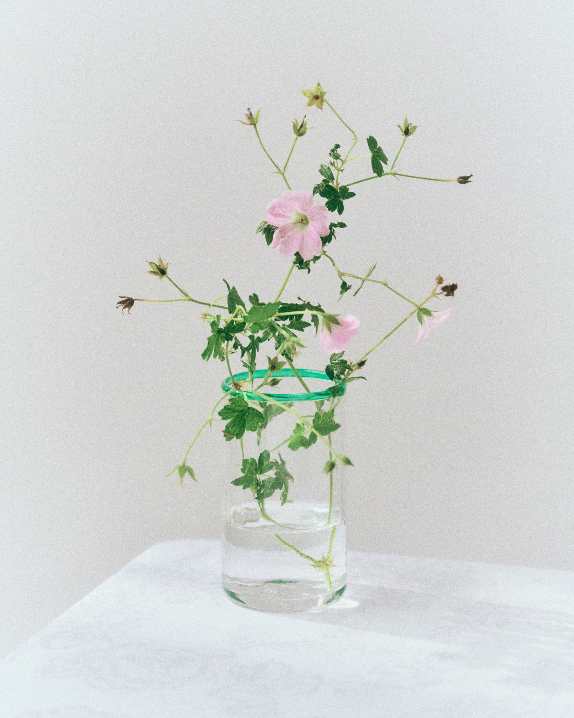 Peter Glass Small - Jade