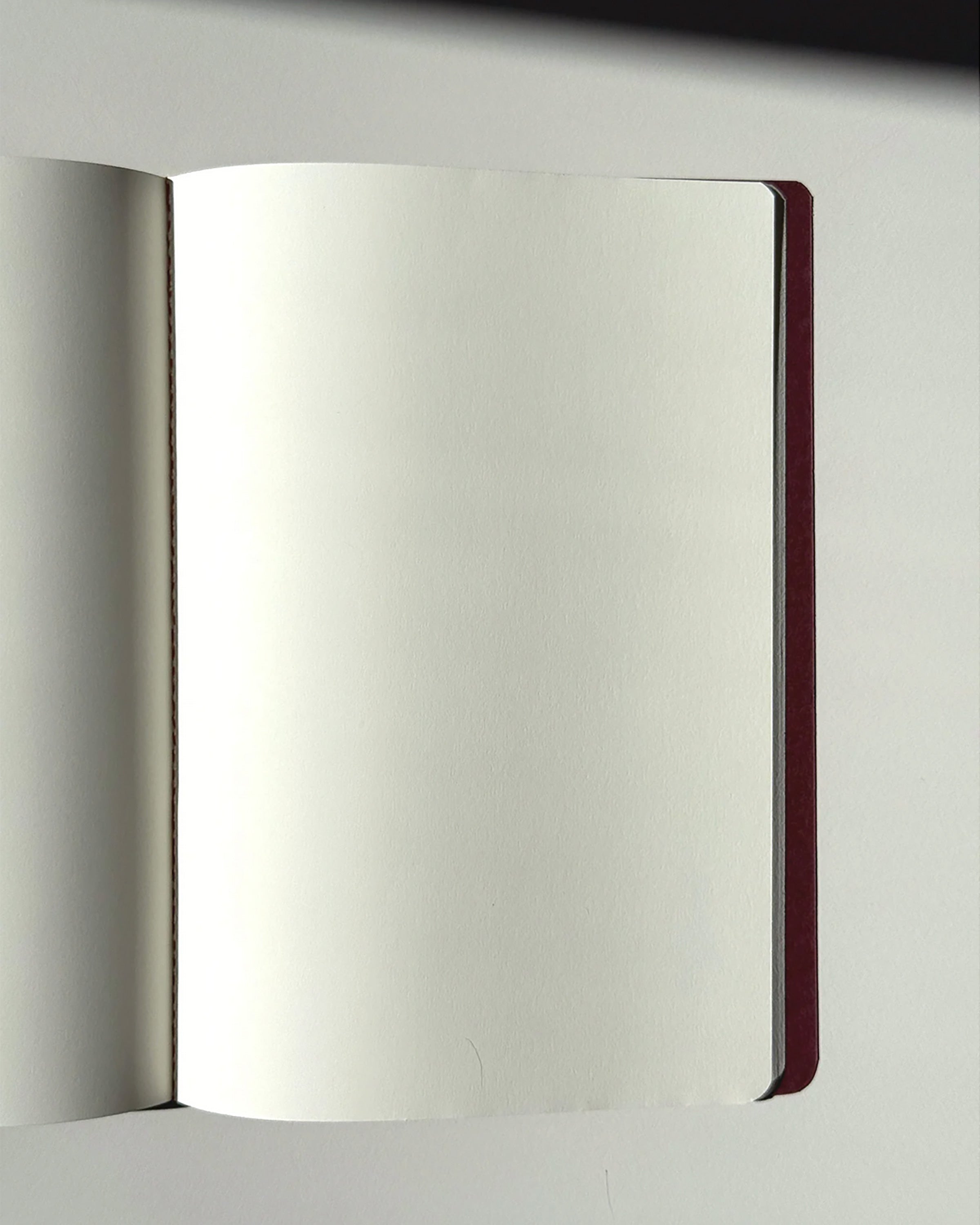 Second Edition Apartamento Notebooks - Prickly Pear