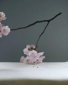 Alban Vase Tulip