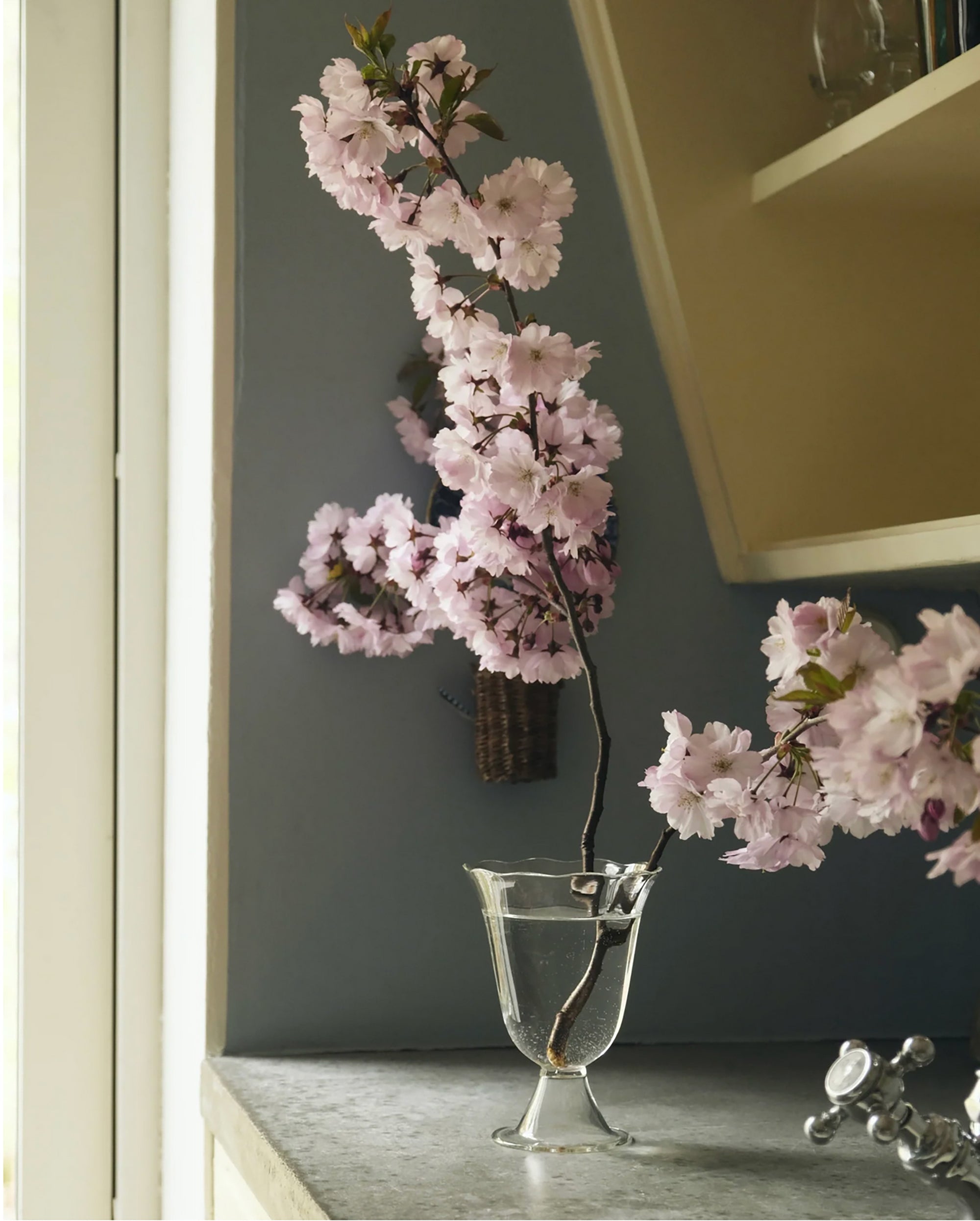 Alban Vase Poppy