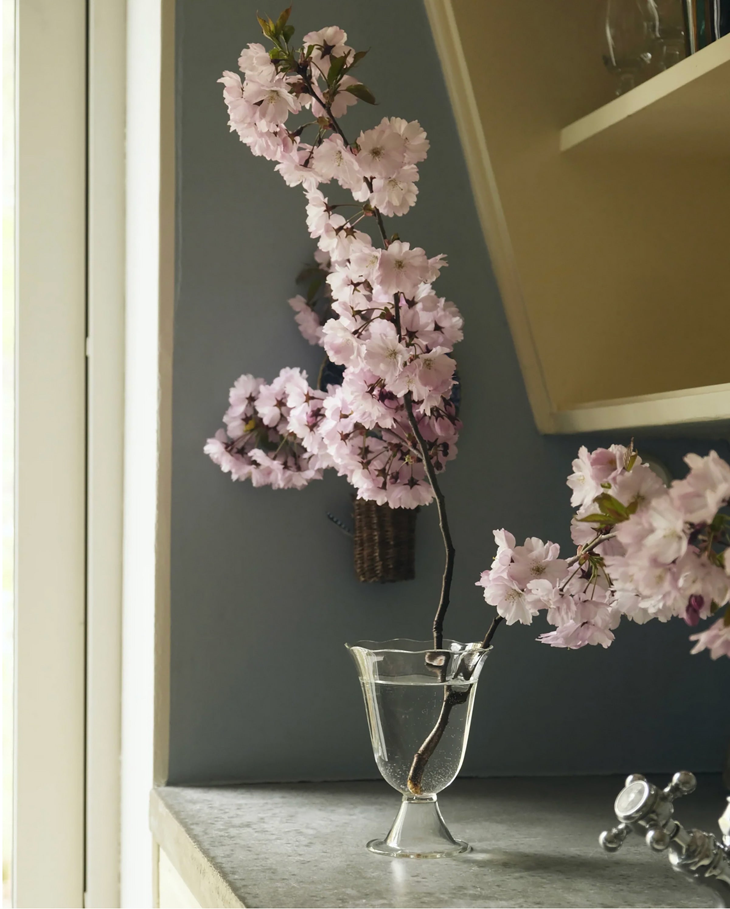 Alban Vase Poppy