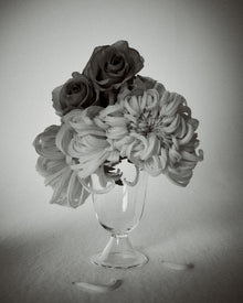 Alban Vase Poppy