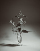 Alban Vase Tulip