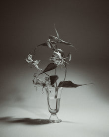 Alban Vase Tulip