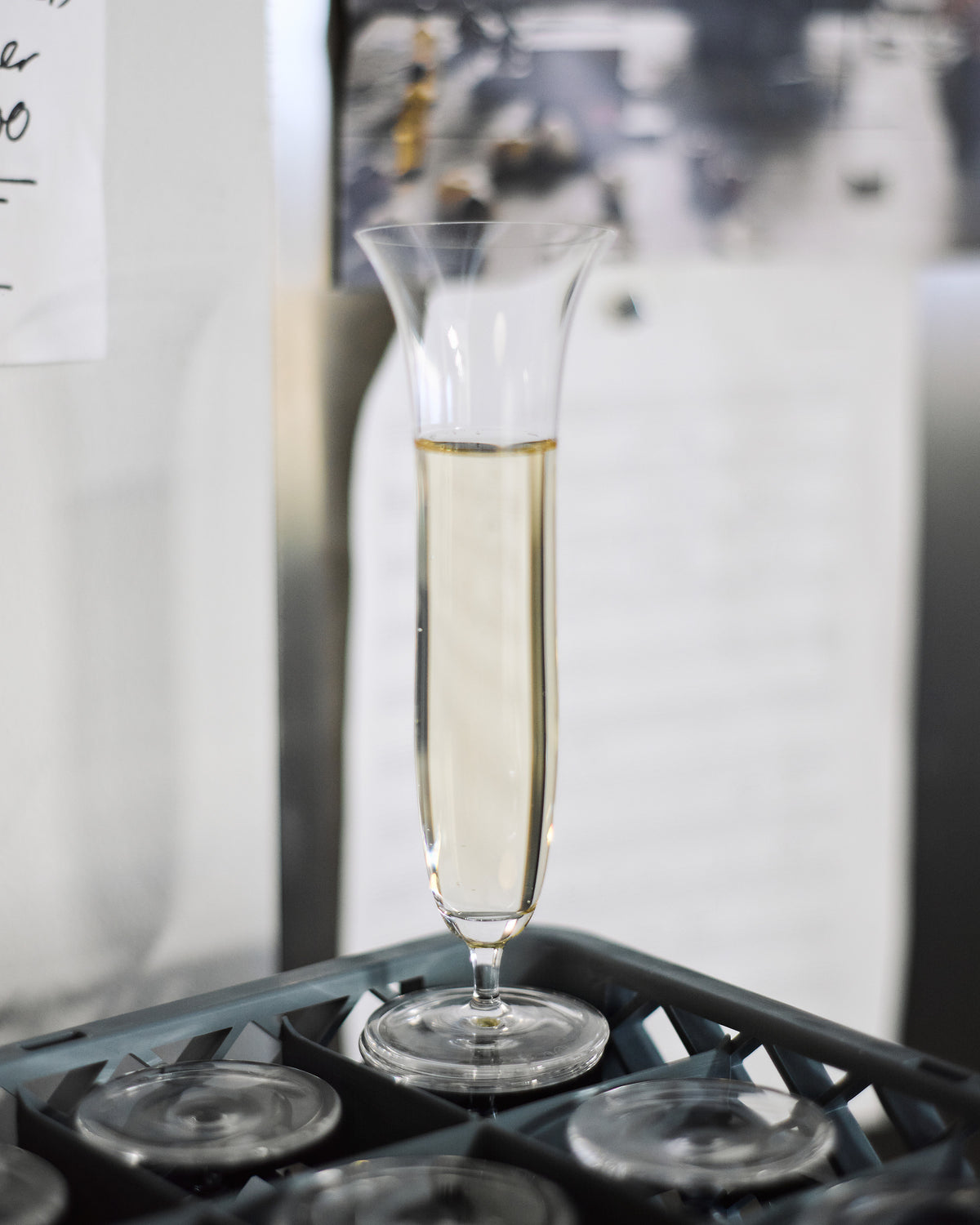 Daphne Champagne Glass