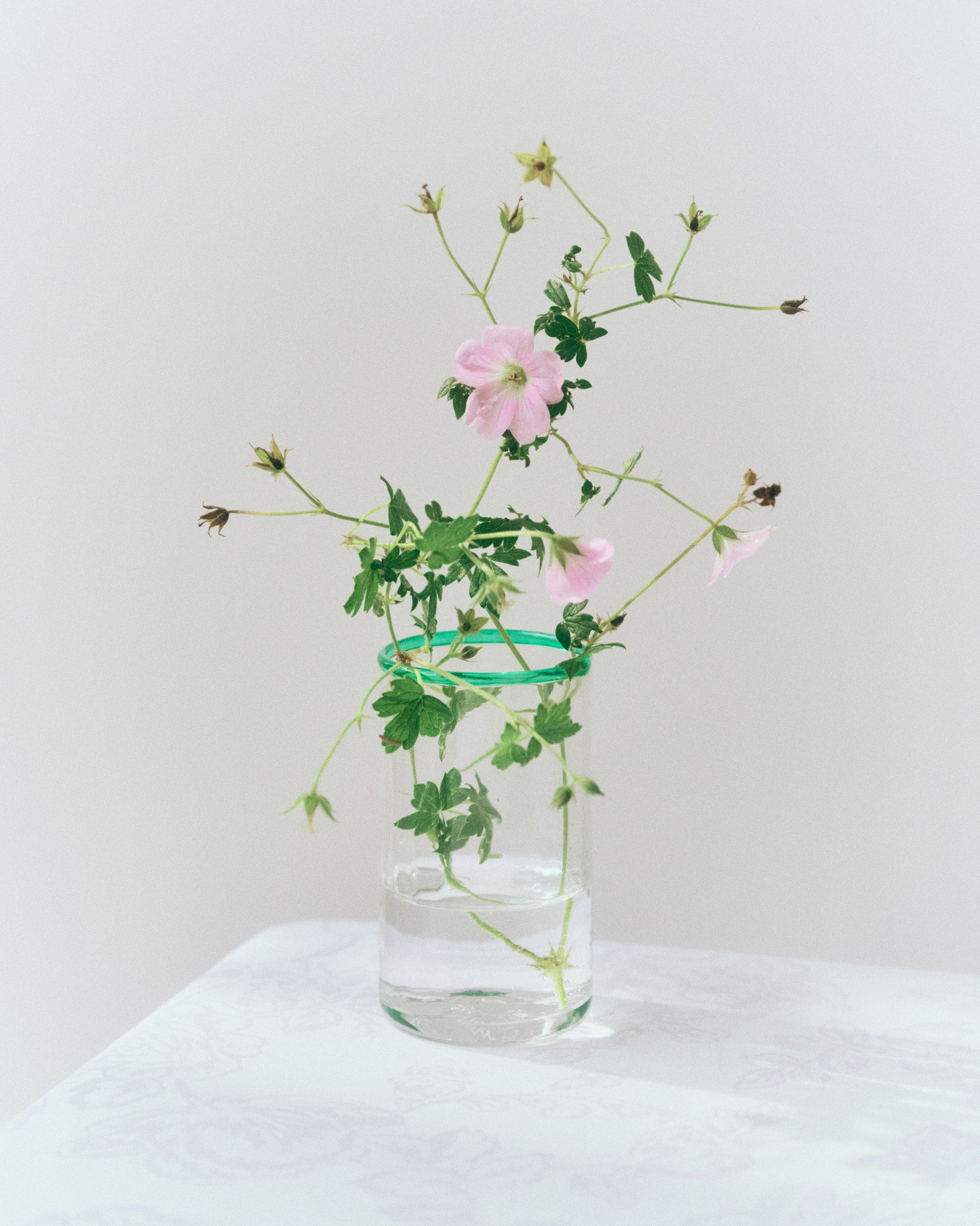 Peter Glass Small - Jade