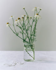 Peter Glass Small - White