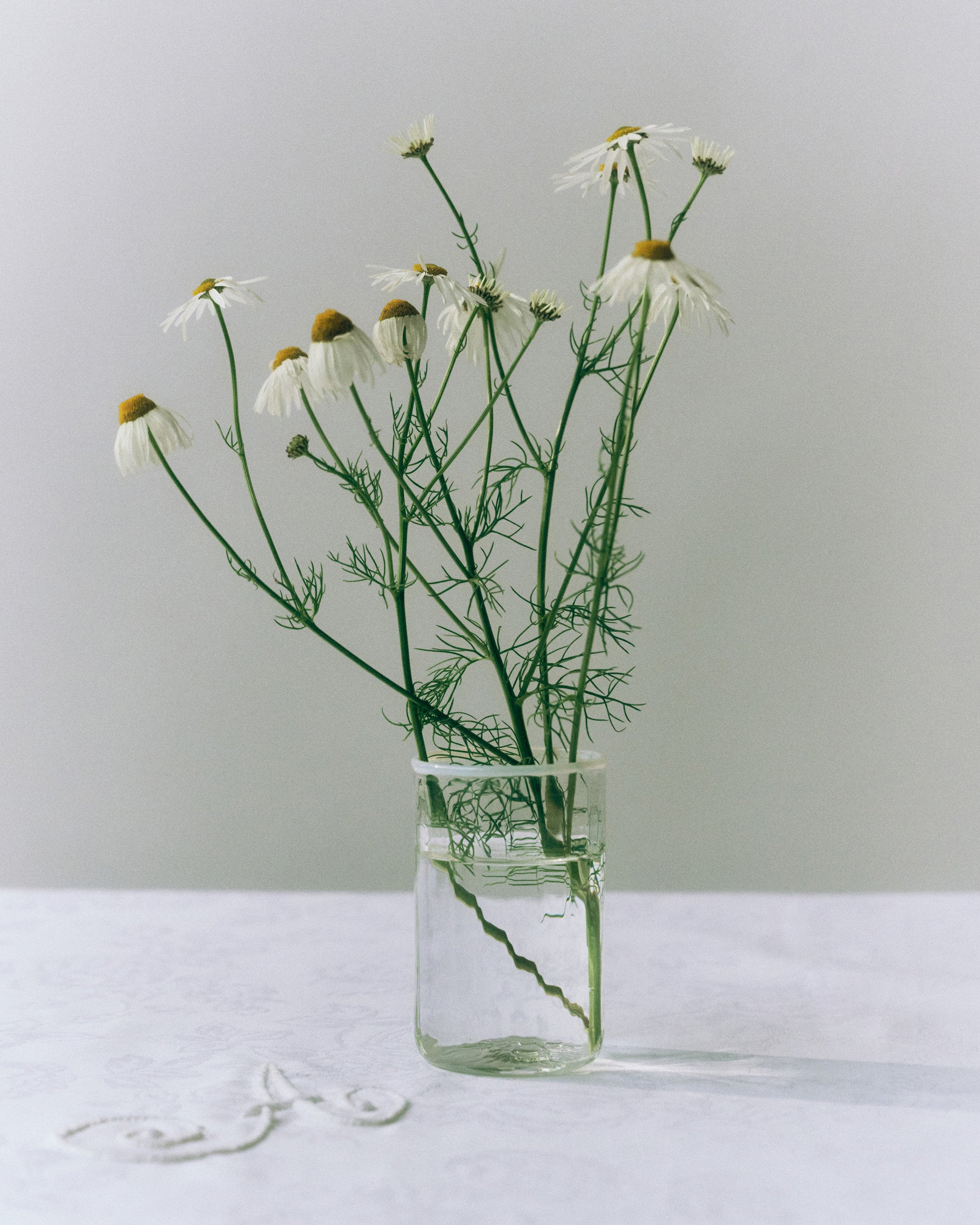 Peter Glass Small - White