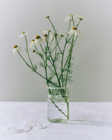Peter Glass Small - White