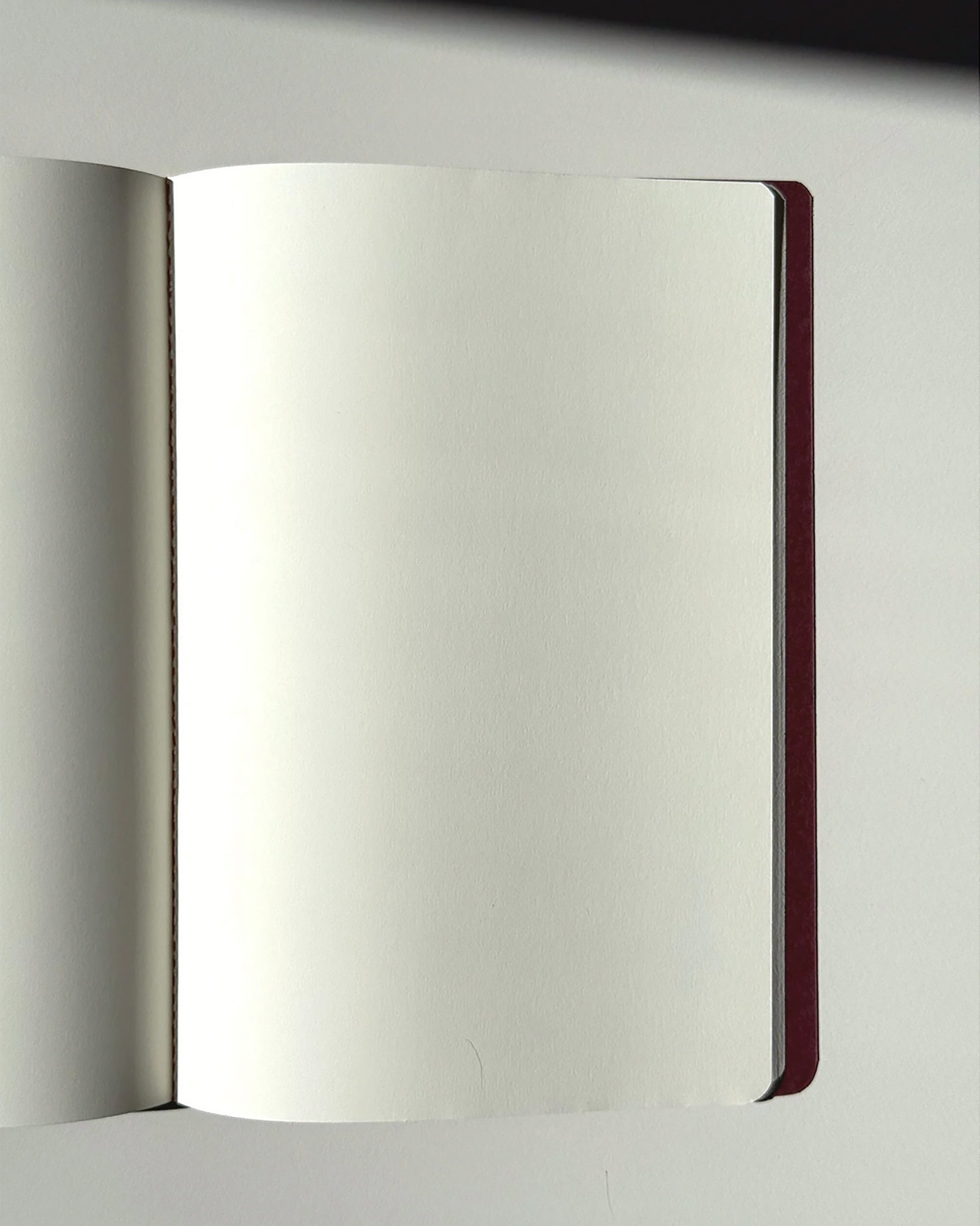 Second Edition Apartamento Notebooks - Prickly Pear