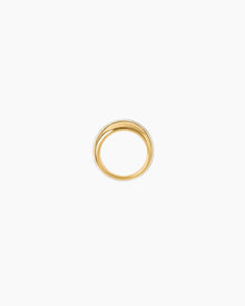 The Jill Ring - Gold with Silver Piping