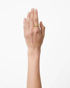 The Jill Ring - Gold with Silver Piping