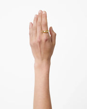 The Jill Ring - Gold with Silver Piping