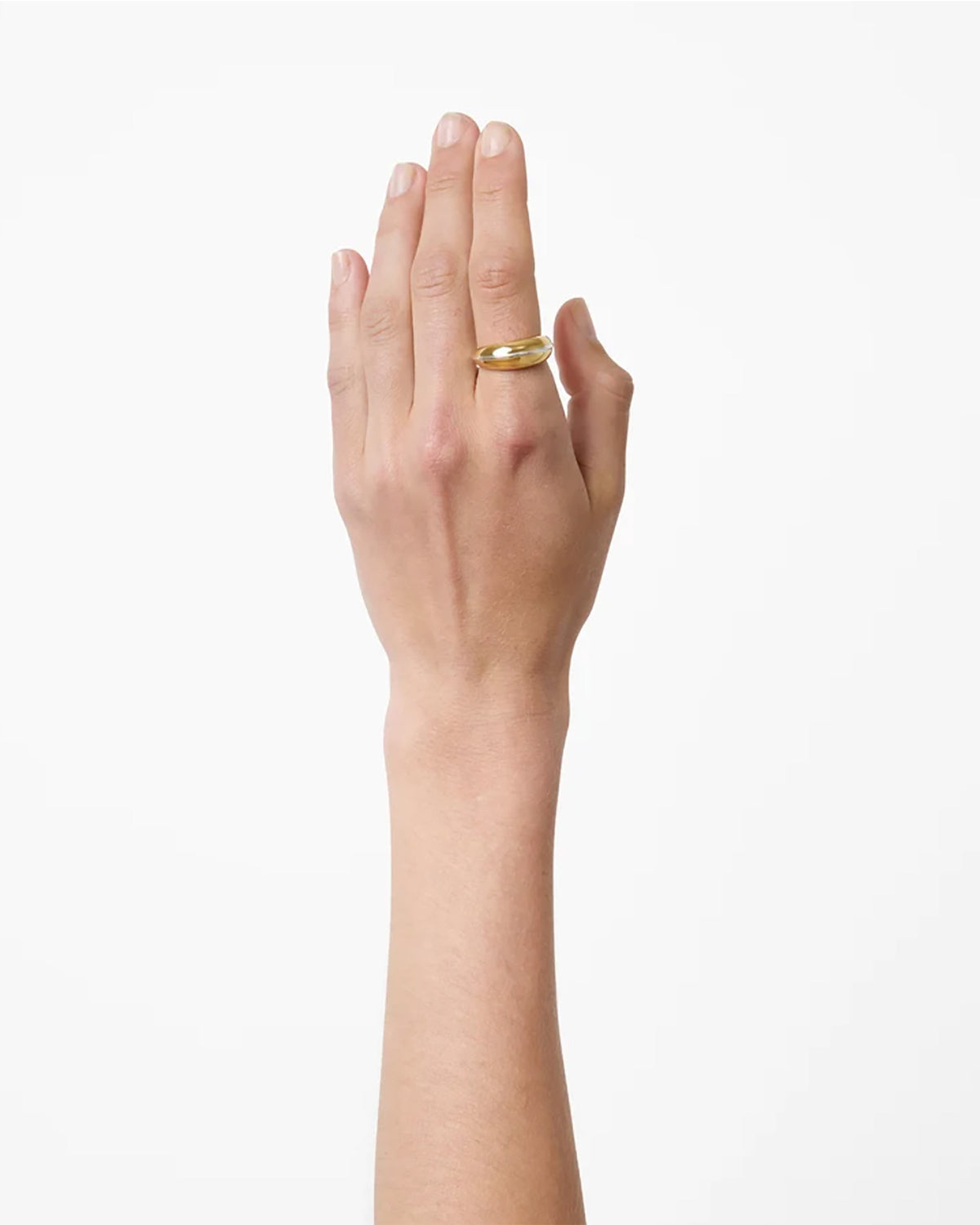 The Jill Ring - Gold with Silver Piping