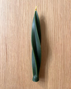 Beeswax Candle Twister - Forest Green